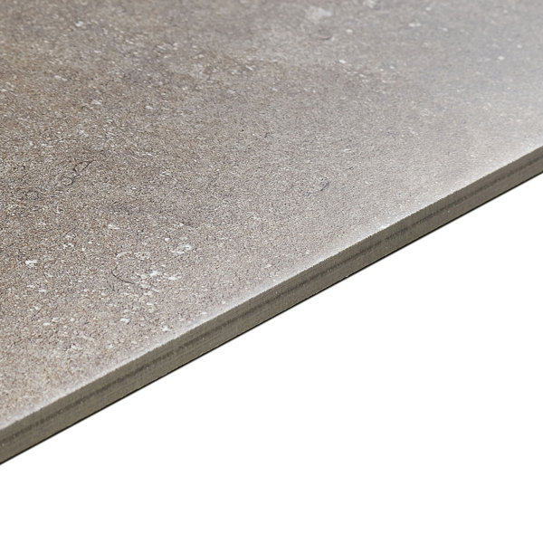 Daltile Avondale 12" x 24" Porcelain Field Tile Wayfair